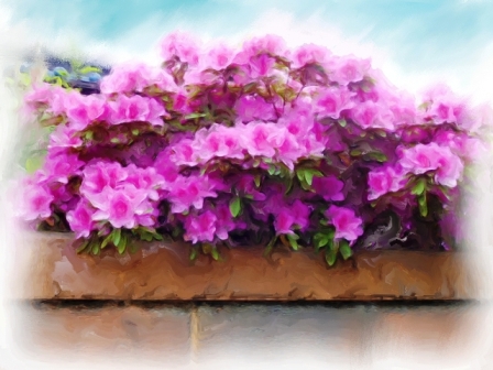 ��i26�D���S